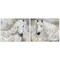 Stupell Industries Charming White Horses 2pc Canvas Wall Art Set Design by Victoria Barnes